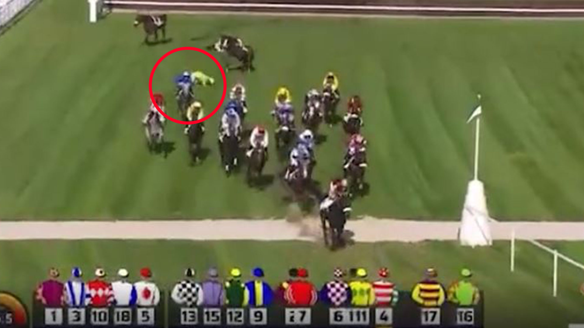 Top British Jockey Hospitalized with Multiple Fractures and Dislocated Hip After Harrowing Fall During Race